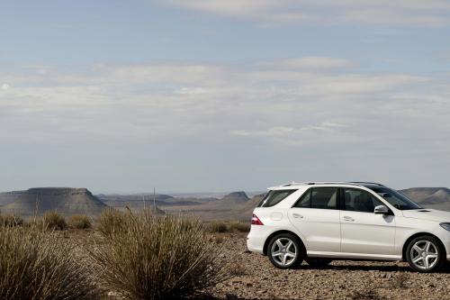 Mercedes-Benz M-Class (2012) - picture 25 of 46