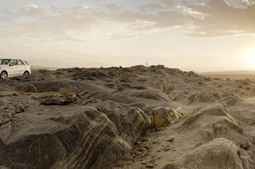 Mercedes-Benz M-Class (2012) - picture 32 of 46