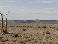 Mercedes-Benz M-Class (2012)