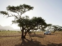 Mercedes-Benz M-Class (2012) - picture 30 of 46