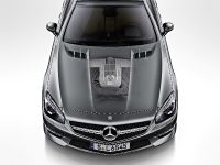 Mercedes-Benz SL 65 AMG 45th ANNIVERSARY (2012) - picture 4 of 7