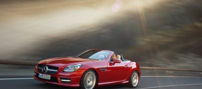 Mercedes-Benz SLK Roadster (2012) - picture 15 of 20