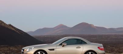 Mercedes-Benz SLK Roadster (2012) - picture 20 of 20