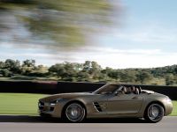 Mercedes SLS AMG Roadster (2012) - picture 30 of 65