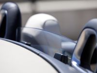 Mercedes SLS AMG Roadster (2012)