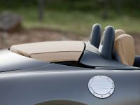 Mercedes SLS AMG Roadster (2012)