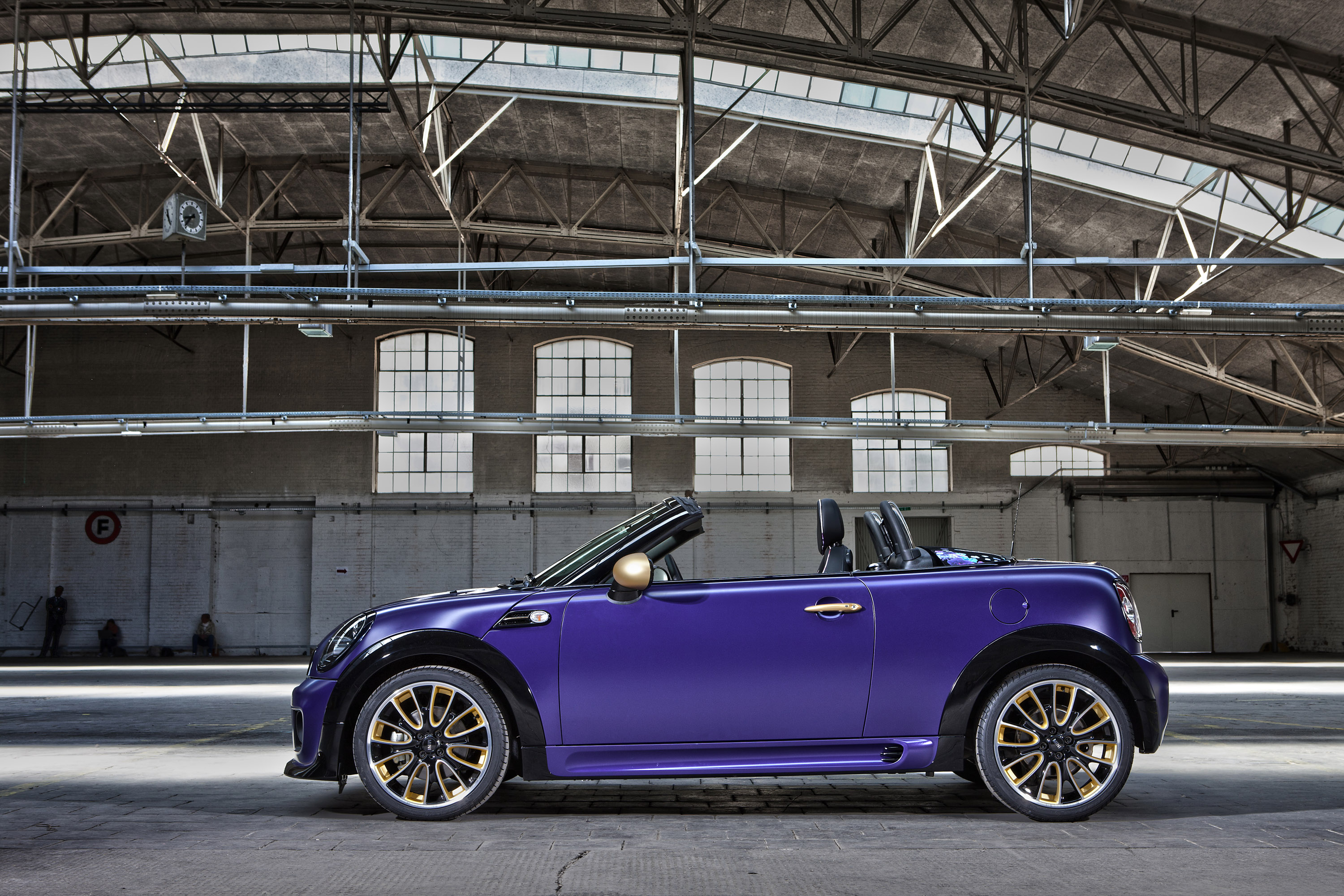 Franca Sozzani MINI Roadster