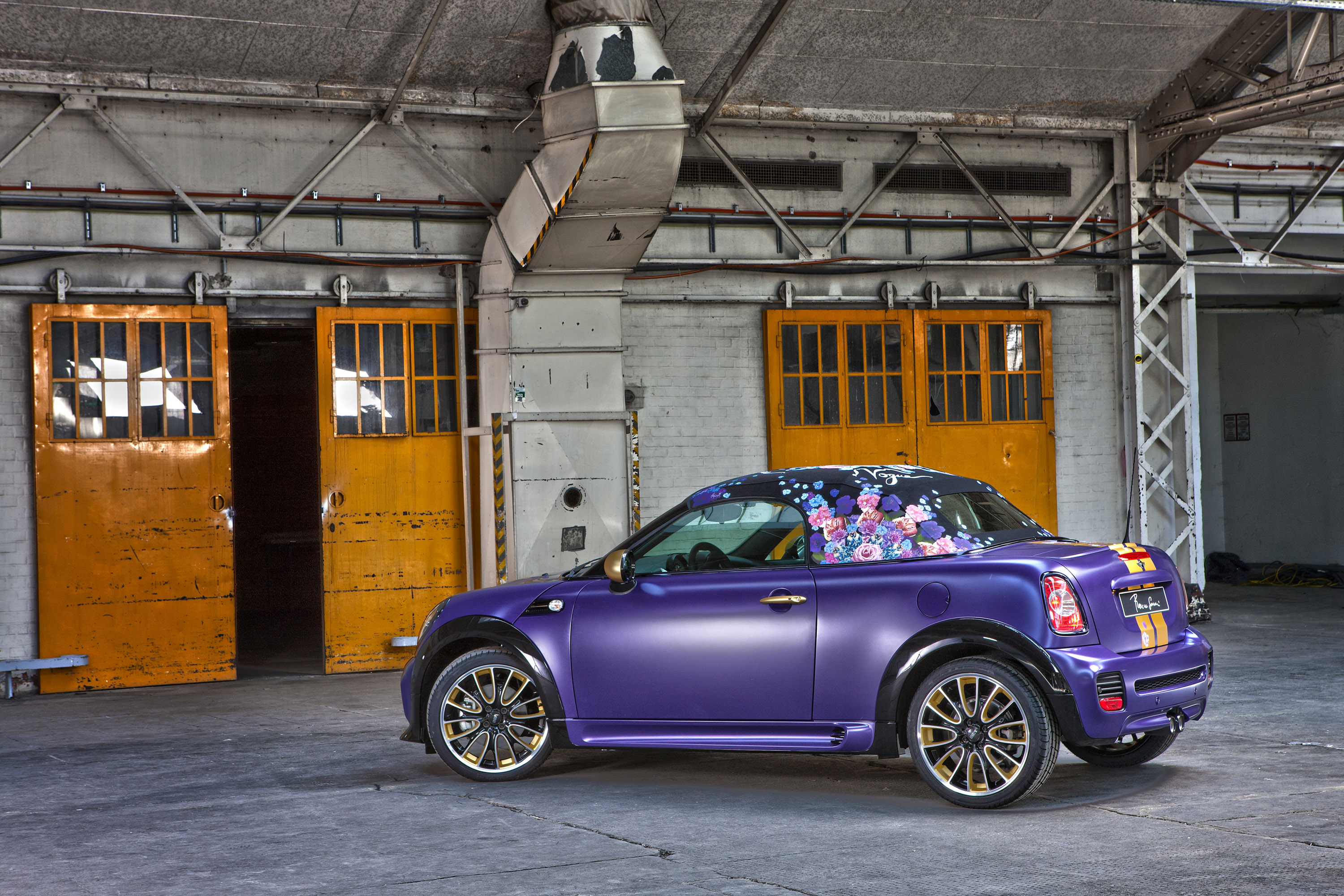 Franca Sozzani MINI Roadster