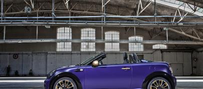 Franca Sozzani MINI Roadster (2012) - picture 4 of 16