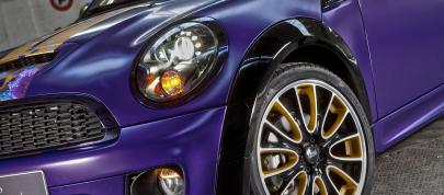 Franca Sozzani MINI Roadster (2012) - picture 12 of 16