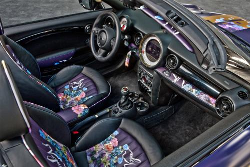 Franca Sozzani MINI Roadster (2012) - picture 9 of 16