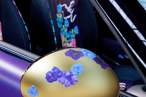 Franca Sozzani MINI Roadster (2012) - picture 16 of 16