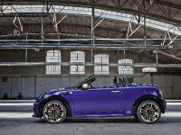 Franca Sozzani MINI Roadster (2012) - picture 4 of 16