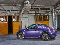 Franca Sozzani MINI Roadster (2012) - picture 5 of 16