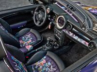 Franca Sozzani MINI Roadster (2012)