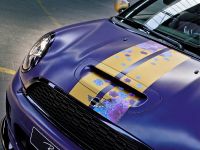 Franca Sozzani MINI Roadster (2012)