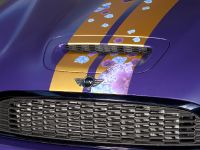 Franca Sozzani MINI Roadster (2012)