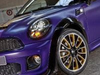 Franca Sozzani MINI Roadster (2012)