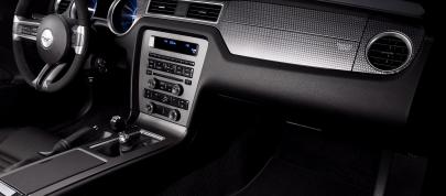 Mustang Boss 302 Laguna Seca (2012) - picture 20 of 37