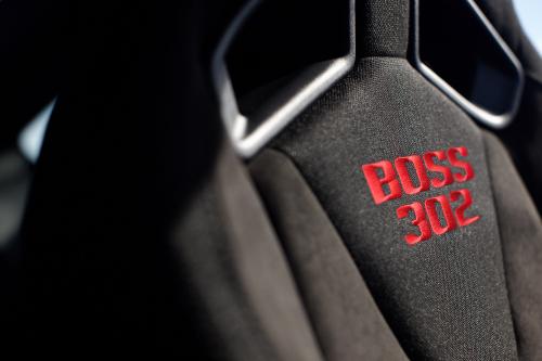 Mustang Boss 302 Laguna Seca (2012) - picture 24 of 37