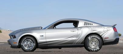Mustang Cobra Jet (2012) - picture 4 of 6