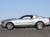 Mustang Cobra Jet (2012) - picture 4 of 6