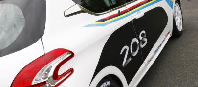 Peugeot 208 R2 (2012) - picture 4 of 19