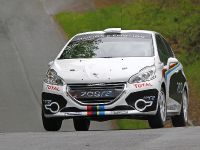 Peugeot 208 R2 (2012)