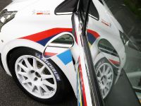 Peugeot 208 R2 (2012) - picture 18 of 19