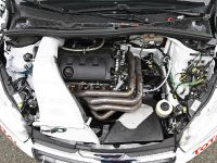 Peugeot 208 R2 (2012) - picture 19 of 19