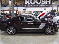 Roush Stage3 Ford Mustang (2012) - picture 45 of 56
