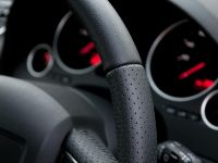 SEAT Exeo (2012) - picture 14 of 16