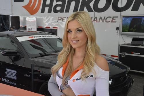 SEMA Show Girls (2012) - picture 16 of 16