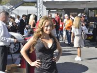 SEMA Show Girls (2012) - picture 14 of 16