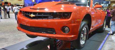 Sema Show (2012) - picture 15 of 80