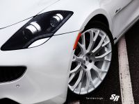 SR Fisker Karma ES White Knight (2012) - picture 7 of 17