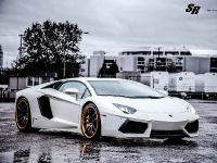 SR Lamborghini Aventador Project Supremacy (2012) - picture 1 of 6