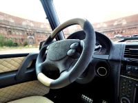 ART Mercedes-Benz G55 AMG Streetline 65 (2013)