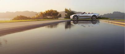 Aston Martin DB9 (2013) - picture 7 of 16