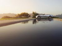 Aston Martin DB9 (2013) - picture 7 of 16