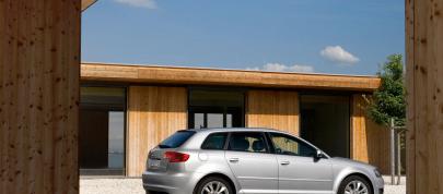 Audi A3 Sportback (2013) - picture 23 of 91