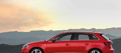 Audi A3 Sportback (2013) - picture 44 of 91