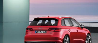 Audi A3 Sportback (2013) - picture 47 of 91
