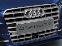 Audi A3 Sportback (2013) - picture 78 of 91