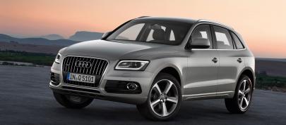 Audi Q5 SUV (2013) - picture 4 of 22
