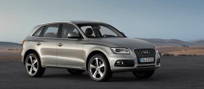Audi Q5 SUV (2013) - picture 7 of 22