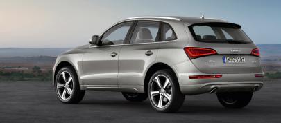Audi Q5 SUV (2013) - picture 12 of 22
