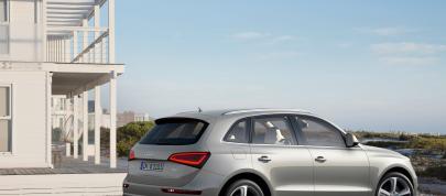Audi Q5 SUV (2013) - picture 15 of 22