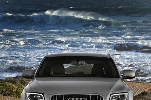 Audi Q5 SUV (2013) - picture 1 of 22