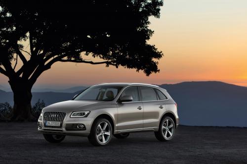 Audi Q5 SUV (2013) - picture 8 of 22